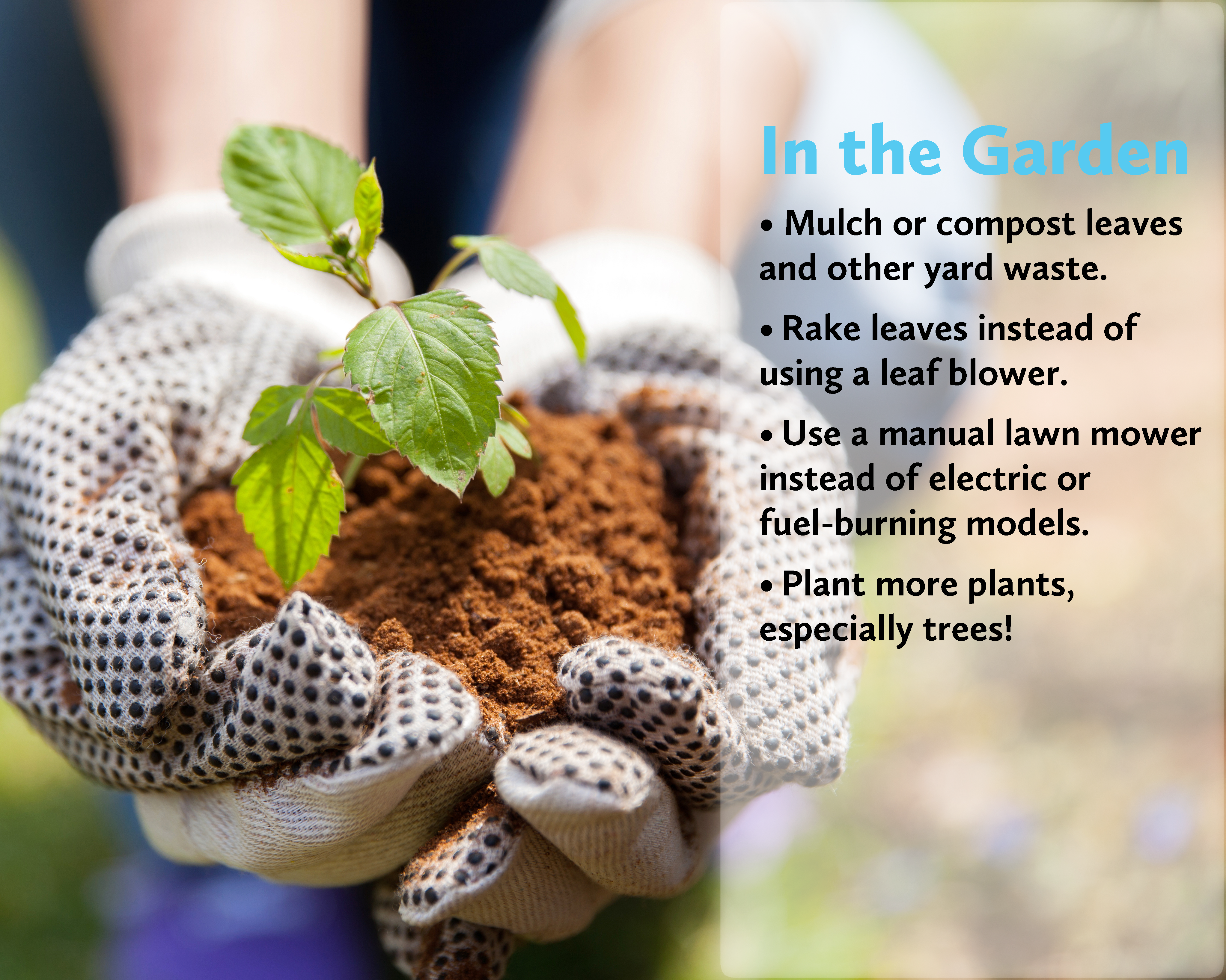In the Garden. Mulch or compost leaves and other yard waste. Rake leaves instead of using a leaf blower. Use a manual lawn mower instead of electric or fuel-burning models. Plant more plants, especially trees!
